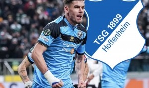 德天空记者：霍芬海姆500万欧截胡哈伊达里，替代受伤的町田浩树